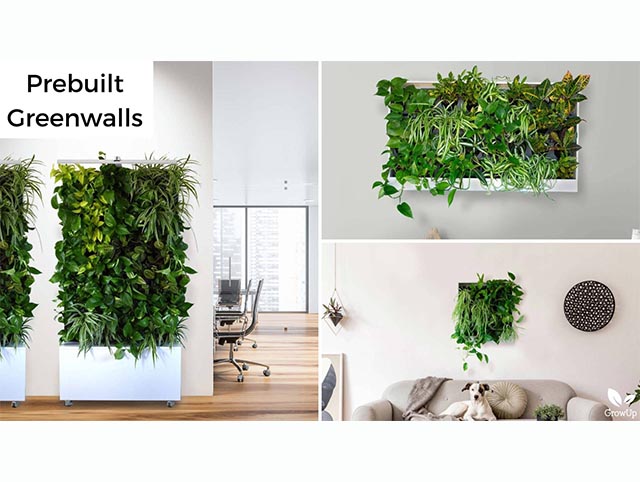 Moss Wall - Square – GrowUp Greenwalls